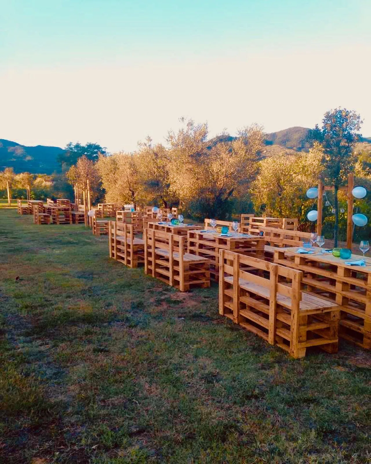 Azienda Agricola Dai Papini